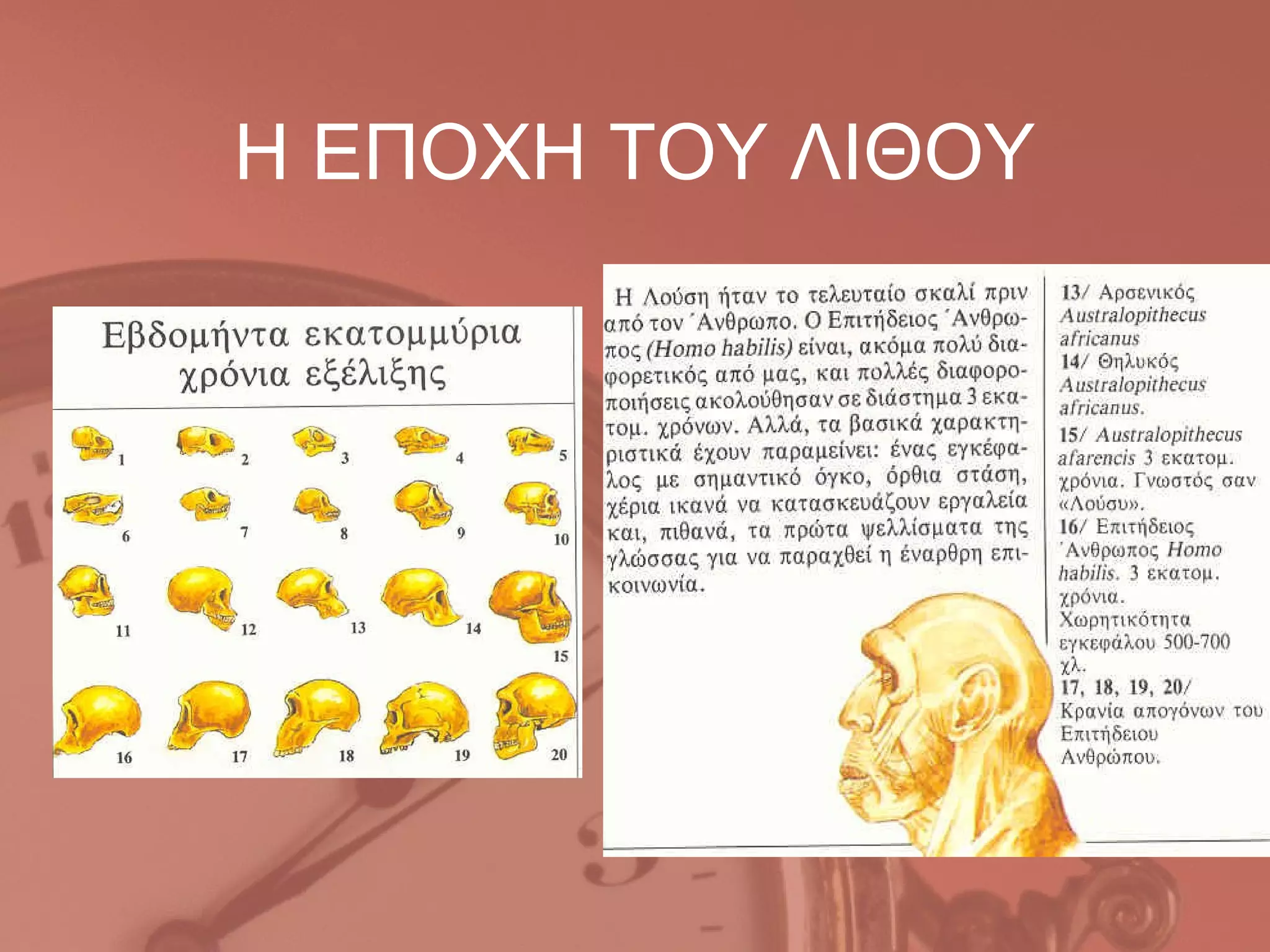 Η ΕΠΟΧΗ ΤΟΥ ΛΙΘΟΥ
 