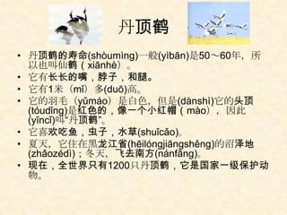丹顶鹤
• 丹顶鹤的寿命(shòumìng)一般(yìbān)是50～60年，所
  以也叫仙鹤（xiānhè）。
• 它有长长的嘴，脖子，和腿。
• 它有1米（mǐ）多(duō)高。
• 它的羽毛（yǔmáo）是白色，但是(dànshì)它的头顶
  (tóudǐng)是红色的，像一个小红帽（mào），因此
  (yīncǐ)叫“丹顶鹤”。
• 它喜欢吃鱼，虫子，水草(shuǐcǎo)。
• 夏天，它住在黑龙江省(hēilóngjiāngshěng)的沼泽地
  (zhǎozédì)；冬天，飞去南方(nánfāng)。
• 现在，全世界只有1200只丹顶鹤，它是国家一级保护动
  物。
 