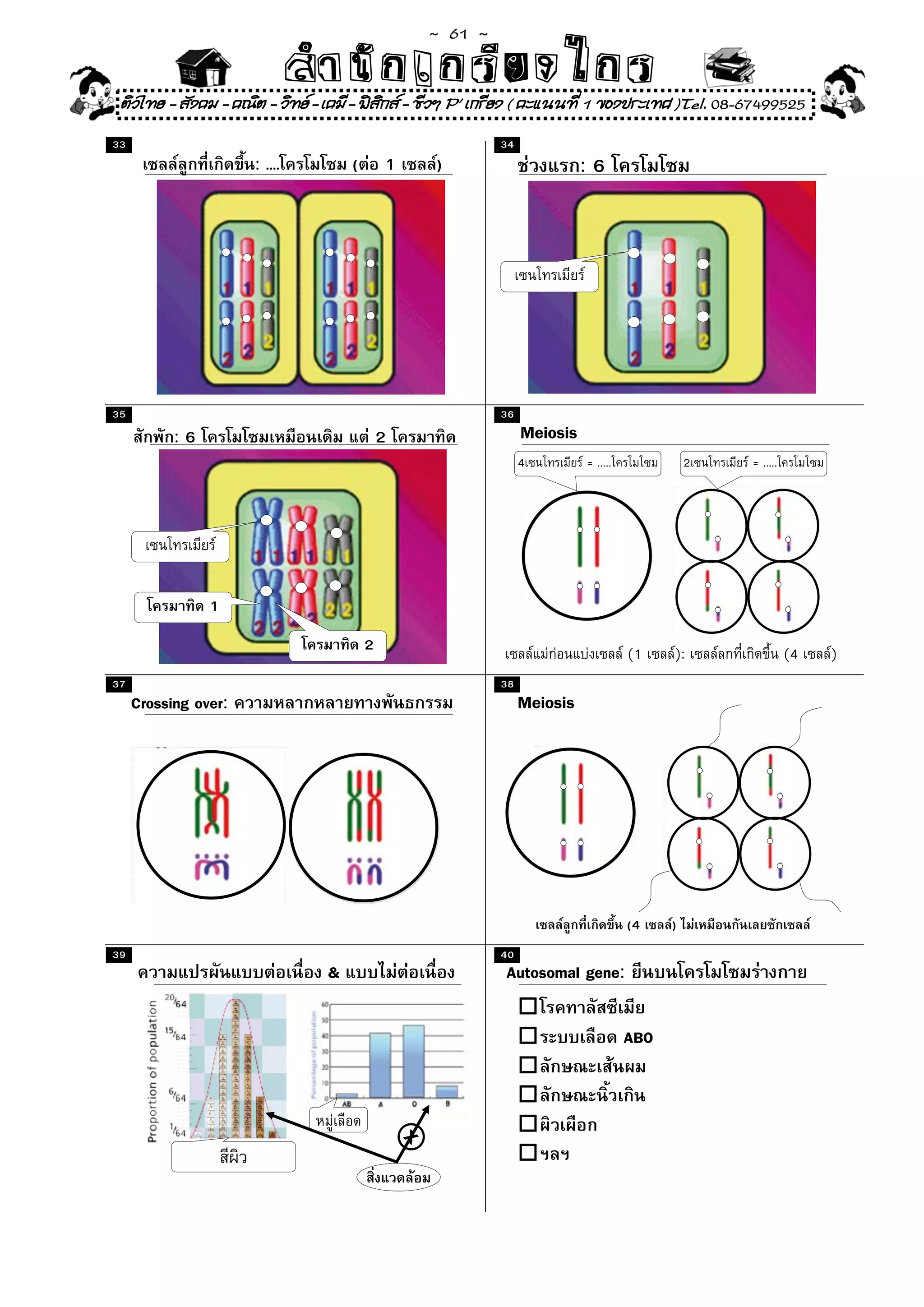 ~  61 ~
                               สํนัา เนัรีกง เกก (คิ ดย ง ไ ย . ..จิ
                               สํา ก ก ย ไ ร รี แบบวิ ท ก ร
 ติวไทย - สังคม - คณิต - วิทย - เคมี - ฟสกส - ชีวฯ P' เกรียง ( คะแนนที่ 1 ของประเทศ )Tel. 08-67499525
                                           ิ
33                                                               34
                      : ....           (       1       )                        :6




35                                                               36
           :6                                  2                      Meiosis
                                                                      4         = .....             2   = .....




                1
                                           2                                              (1    ):                (4   )
37                                                               38
     Crossing over:                                                   Meiosis




                                                                                          (4    )
39                                                               40
                                   &                             Autosomal gene:

                                                                                          ABO



                                                   X
 