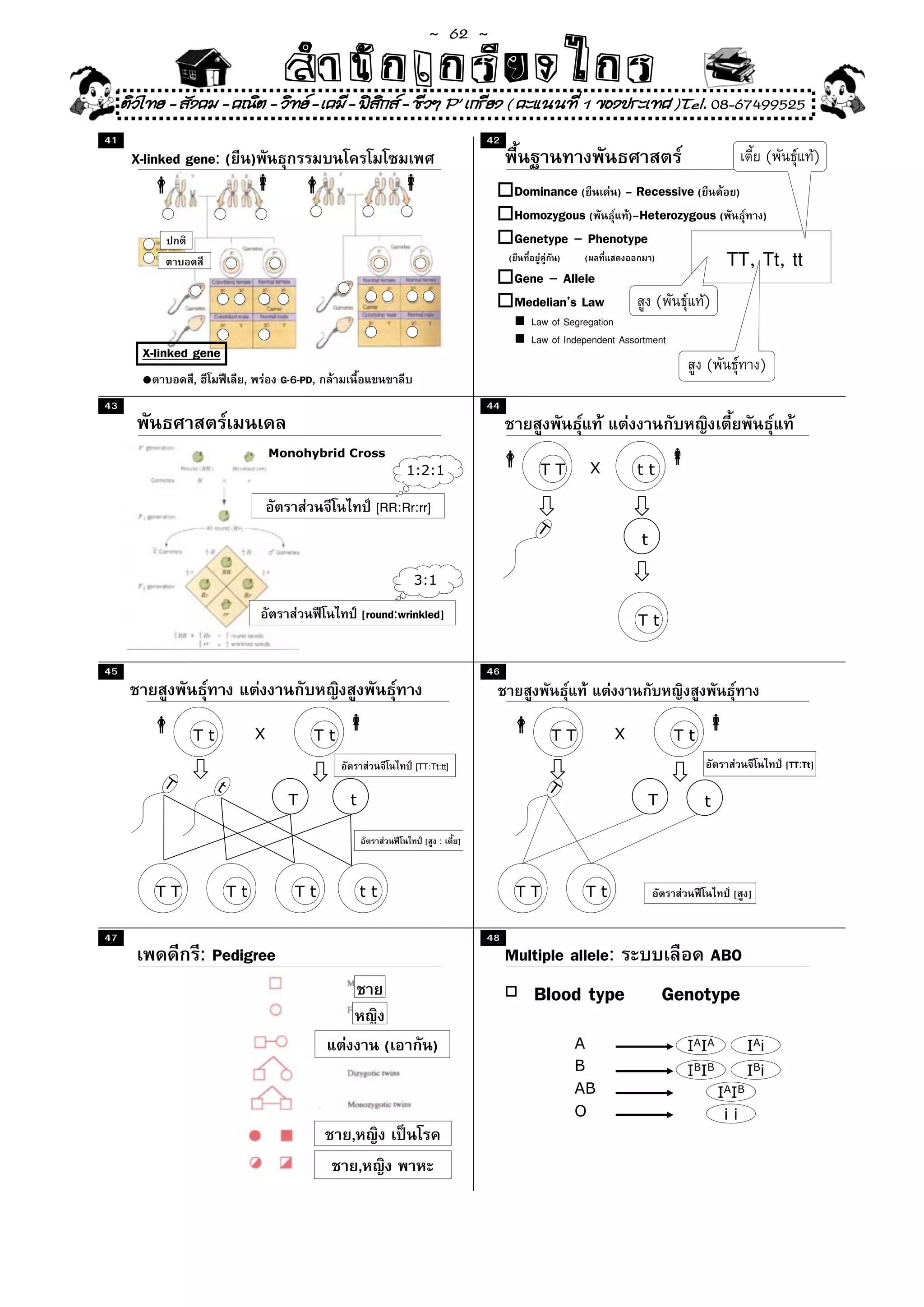~  62 ~
                                      สํนัา เนัรีกง เกก (คิ ดย ง ไ ย . ..จิ
                                      สํา ก ก ย ไ ร รี แบบวิ ท ก ร
     ติวไทย - สังคม - คณิต - วิทย - เคมี - ฟสกส - ชีวฯ P' เกรียง ( คะแนนที่ 1 ของประเทศ )Tel. 08-67499525
                                               ิ
41                                                                               42
      X-linked gene: ( )                                                                                                                               (         )
                                                                                          Dominance (    ) – Recessive (                    )
                                                                                          Homozygous (     )–Heterozygous (                        )
                                                                                          Genetype – Phenotype
                                                                                      (              )   (               )                 TT, Tt, tt
                                                                                          Gene – Allele
                                                                                          Medelian’s Law                     (        )
                                                                                            Law of Segregation
                                                                                            Law of Independent Assortment
        X-linked gene
                                                                                                                                      (            )
        •        ,          ,        G-6-PD,
43                                                                               44


                                    Monohybrid Cross
                                                             1:2:1                             TT            X       tt

                                                        [RR:Rr:rr]
                                                                                             T
                                                                                                                     t

                                                              3:1

                                                    [round:wrinkled]                                                 Tt


45                                                                               46



                 Tt             X          Tt                                                    TT              X               Tt
                                                               [TT:Tt:tt]                                                                                  [TT:Tt]
            T          t                                                                         T
                                      T         t                                                                        T            t

                                                                 [       :   ]



            TT             Tt          Tt           tt                                    TT              Tt                                [ ]


47                                                                               48
                     : Pedigree                                                       Multiple allele:                                    ABO
                                                                                             Blood type                      Genotype
                                                         (           )                                   A                        IAIA           IAi
                                                                                                         B                        IBIB           IBi
                                                                                                         AB                               IAIB
                                                                                                         O                                 ii
                                                ,
                                                    ,
 