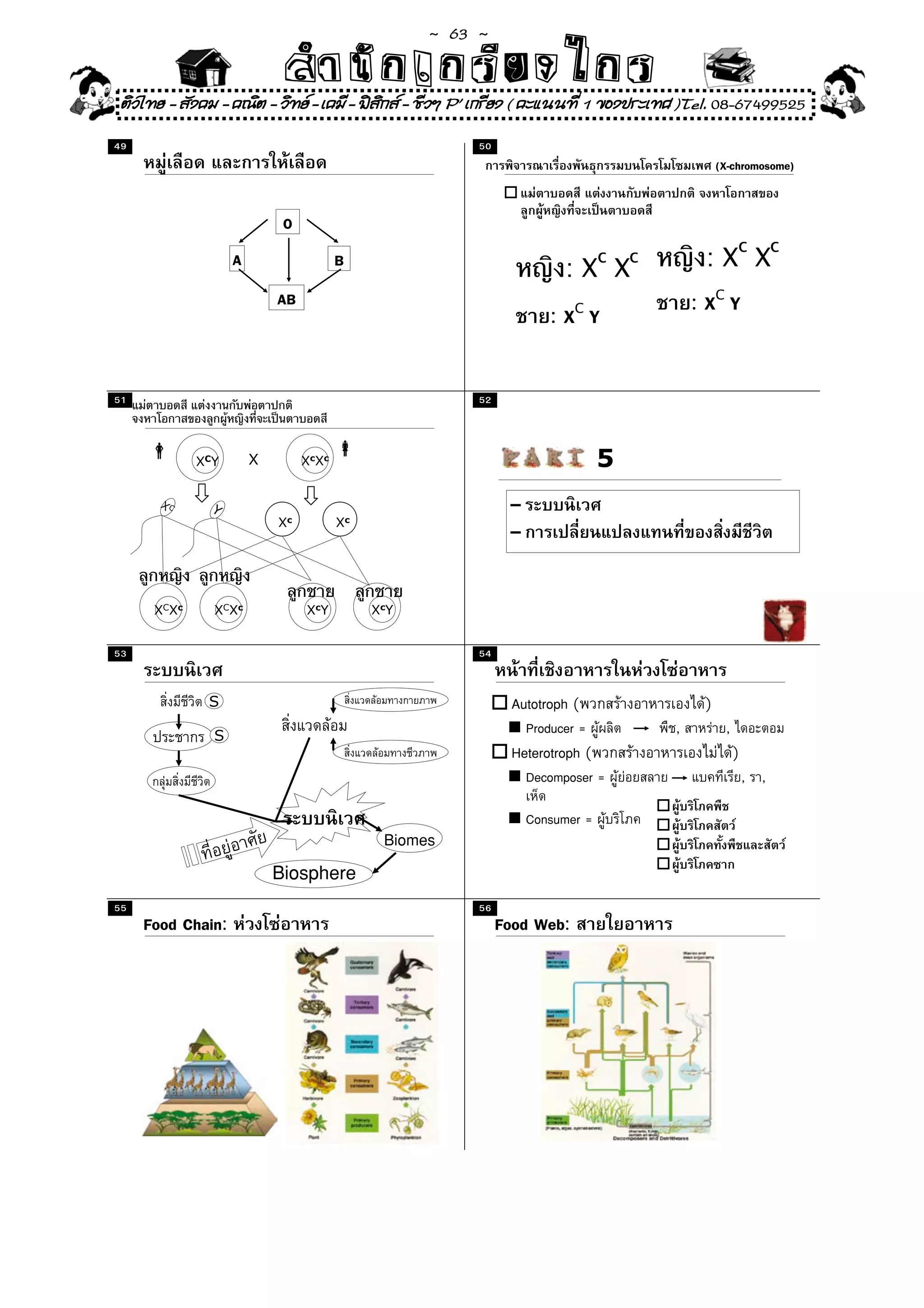 ~  63 ~
                             สํนัา เนัรีกง เกก (คิ ดย ง ไ ย . ..จิ
                             สํา ก ก ย ไ ร รี แบบวิ ท ก ร
 ติวไทย - สังคม - คณิต - วิทย - เคมี - ฟสกส - ชีวฯ P' เกรียง ( คะแนนที่ 1 ของประเทศ )Tel. 08-67499525
                                           ิ
49                                                        50
                                                                                                  (X-chromosome)


                             O
                                                                                                       c         c
                    A                    B
                                                                          :X X
                                                                                 c   c        :X X
                            AB                                                               : XC Y
                                                                        : XC Y

51                                                        52



              XCY       X        Xc Xc                                           5
       XC       Y                                               -
                            Xc           Xc
                                                                -


      XC Xc     XC Xc             Xc Y        Xc Y


53                                                        54


               S                                                 Autotroph (                  )
                S
                                                                    Producer =           ,         ,
                                                                 Heterotroph (                         )
                                                                    Decomposer =                           , ,

                                                                    Consumer =
                                                Biomes
                            Biosphere
55                                                        56
     Food Chain:                                               Food Web:
 