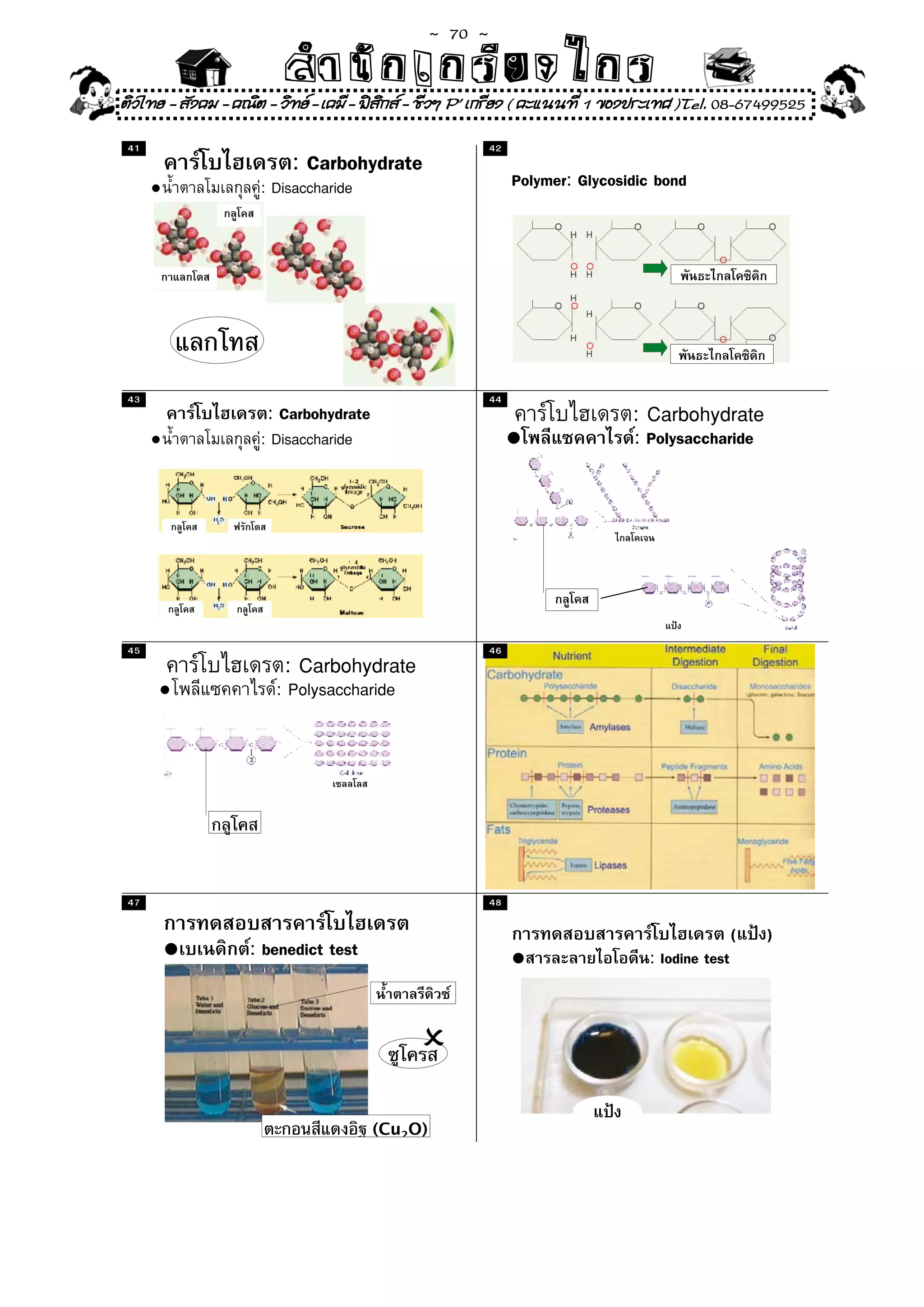~  70 ~
                        สํนัา เนัรีกง เกก (คิ ดย ง ไ ย . ..จิ
                        สํา ก ก ย ไ ร รี แบบวิ ท ก ร
ติวไทย - สังคม - คณิต - วิทย - เคมี - ฟสกส - ชีวฯ P' เกรียง ( คะแนนที่ 1 ของประเทศ )Tel. 08-67499525
                                          ิ
 41                                                       42
                         : Carbohydrate
      •              : Disaccharide                            Polymer: Glycosidic bond




 43                                                       44
                      : Carbohydrate                                           : Carbohydrate
      •              : Disaccharide                            •               : Polysaccharide




 45                                                       46
                        : Carbohydrate
      •                : Polysaccharide




 47                                                       48

                                                                                                 (   )
          •        : benedict test                             •                 : Iodine test




                                       (Cu2O)
 