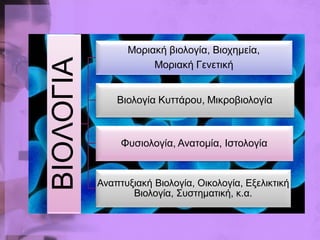 Μνξηαθή βηνινγία, Βηνρεκεία,
ΒΙΟΛΟΓΙΑ              Μνξηαθή Γελεηηθή


               Βηνινγία Κπηηάξνπ, Μηθξνβηνινγία



                Φπζηνινγία, Αλαηνκία, Ιζηνινγία


           Αλαπηπμηαθή Βηνινγία, Οηθνινγία, Δμειηθηηθή
                  Βηνινγία, Σπζηεκαηηθή, θ.α.
 