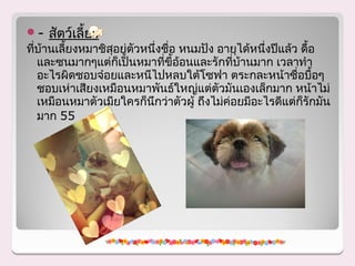 -   สัตว์เลี้ยง
ที่บ้านเลี้ยงหมาชิสุอยู่ตัวหนึ่งชื่อ หนมปัง อายุได้หนึ่งปีแล้ว ดื้อ
   และซนมากๆแต่กเป็นหมาที่ขี้อ้อนและรักที่บ้านมาก เวลาทำา
                     ็
   อะไรผิดชอบจ๋อยและหนีไปหลบใต้โซฟา ตระกละหน้าซื่อบื้อๆ
   ชอบเห่าเสียงเหมือนหมาพันธ์ใหญ่แต่ตัวมันเองเล็กมาก หน้าไม่
   เหมือนหมาตัวเมียใครก็นึกว่าตัวผู้ ถึงไม่ค่อยมีอะไรดีแต่ก็รักมัน
   มาก 55
 