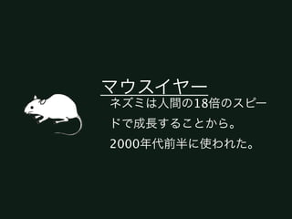 マウスイヤー
ネズミは人間の18倍のスピー
ドで成長することから。
2000年代前半に使われた。
 