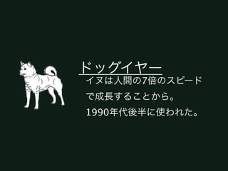 ドッグイヤー
イヌは人間の7倍のスピード
で成長することから。
1990年代後半に使われた。
 