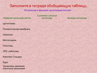 Заполните в тетради обобщающую таблицу.
                   «Строение и функции органоидов клетки»

                             Строение и рисунок
Название органоида клетки        органоида           Функции органоида

Цитоплазма

Плазматическая мембрана

Лизосомы

Митохондрии

Пластиды

ЭПС, рибосомы

Комплекс Гольджи

Ядро
Органоиды движения,
клеточные включения
 