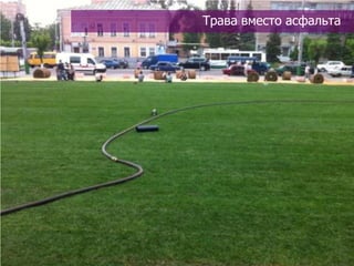 Трава вместо асфальта
 
