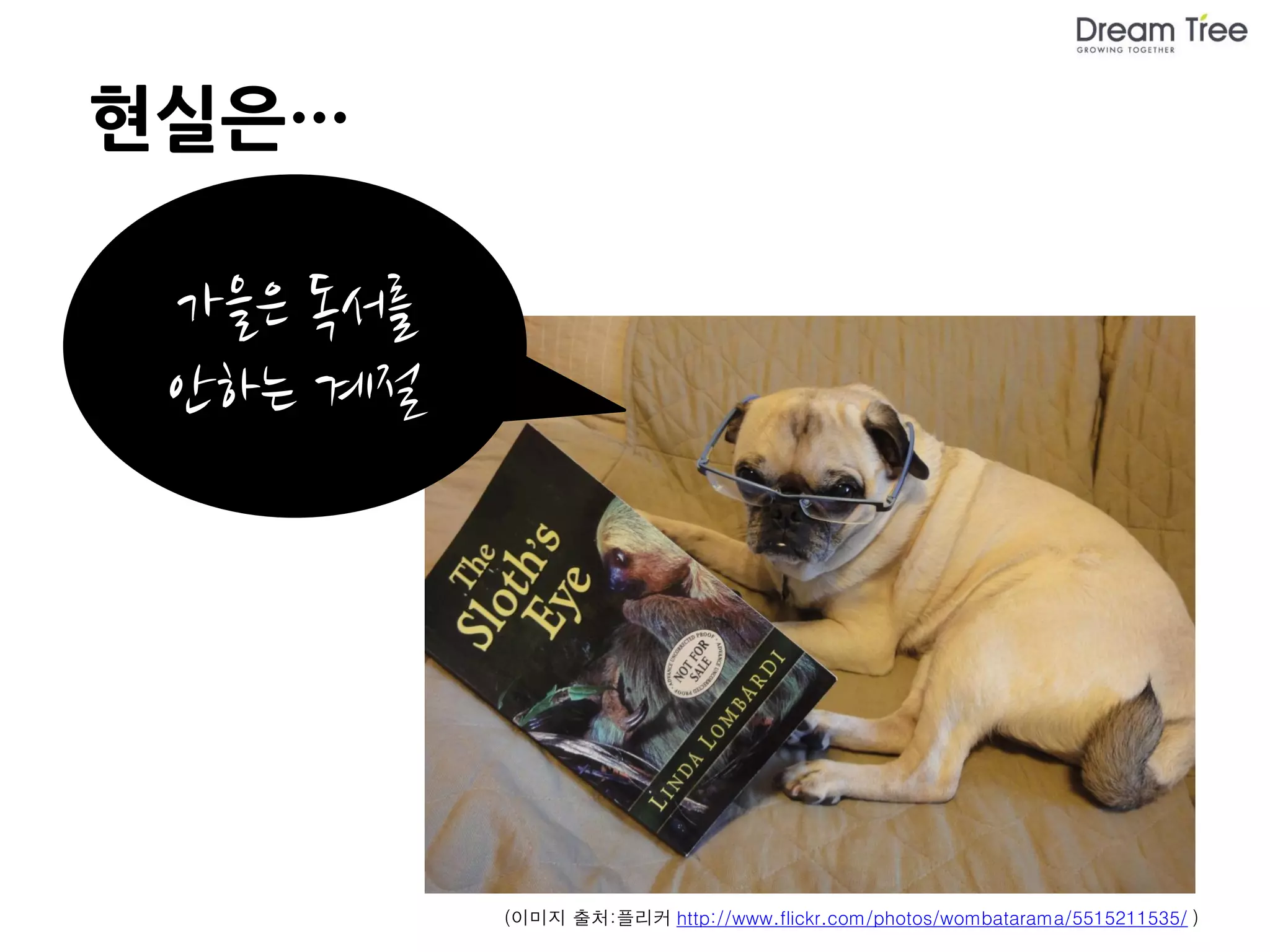 현실은…

 가을은 독서를
 안하는 계절




           (이미지 출처:플리커 http://www.flickr.com/photos/wombatarama/5515211535/ )
 