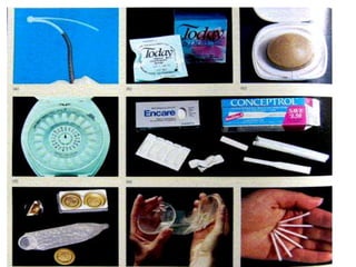 การสืบพันธ์