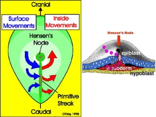 การสืบพันธ์