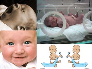 การสืบพันธ์