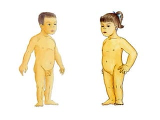 การสืบพันธ์