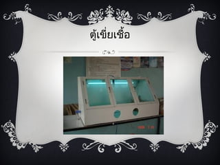 ตู้เขี่ย๶ชื้อ
 