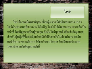 ไพร่
      ไพร่ คือ พลเมืองสามัญชน ทั้งหญิง-ชาย มีศกดินาระหว่าง 10-25
                                                 ั
ไพร่ ตองทางานอุทิศแรงงานให้แก่รัฐ โดยไม่ได้ค่าตอบแทน เพราะถือเป็ น
       ้
หน้าที่ โดยมีมูลนายเป็ นผูควบคุม ดังนั้นไพร่ ทุกคนจึงต้องสังกัดมูลนาย
                          ้
สาหรับผูหญิงที่ข้ ึนทะเบียนไพร่ มกได้รับยกเว้นไม่ตองทางาน ยกเว้น
          ้                      ั                 ้
กรณี ที่ทางราชการต้องการใช้งานในบางโอกาส ไพร่ มีหลายประเภท
โดยแบ่งตามสังกัดมูลนายดังนี้
 