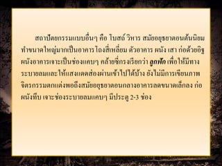 สถาปัตยกรรมแบบอื่นๆ คือ โบสถ์ วิหาร สมัยอยุธยาตอนต้นนิยม
ทาขนาดใหญ่มากเป็ นอาคารโถงสี่ เหลี่ยม ตัวอาคาร ผนัง เสา ก่อด้วยอิฐ
ผนังอาคารเจาะเป็ นช่องแคบๆ คล้ายซี่กรงเรี ยกว่า ลกฟัก เพื่อให้มีทาง
                                                 ู
ระบายลมและให้แสงแดดส่ องผ่านเข้าไปได้บาง ยังไม่มีการเขียนภาพ
                                           ้
จิตรกรรมตกแต่งพอถึงสมัยอยุธยาตอนกลางอาคารลดขนาดเล็กลง ก่อ
ผนังทึบ เจาะช่องระบายลมแคบๆ มีประตู 2-3 ช่อง
 