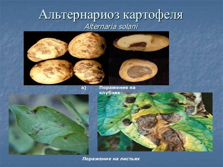 Авто опыление растений
