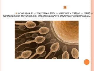 я
          я (от др. греч. ἀ- — отсутствие, ζῷον — животное и σπέρμα — семя) —
патологическое состояние, при котором в эякуляте отсутствуют сперматозоиды.
 
