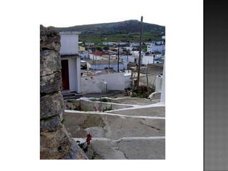 τα λουλούδια που φυτρώνουν στο τσιμέντο