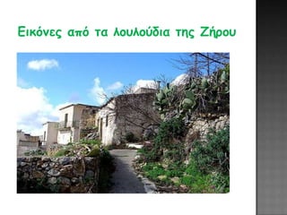 Εικόμες από ηα λοσλούδια ηης Ζήροσ
 