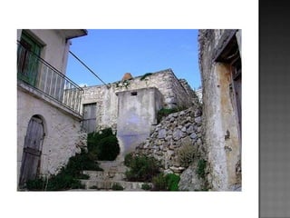 τα λουλούδια που φυτρώνουν στο τσιμέντο