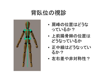 背臥位 背臥位