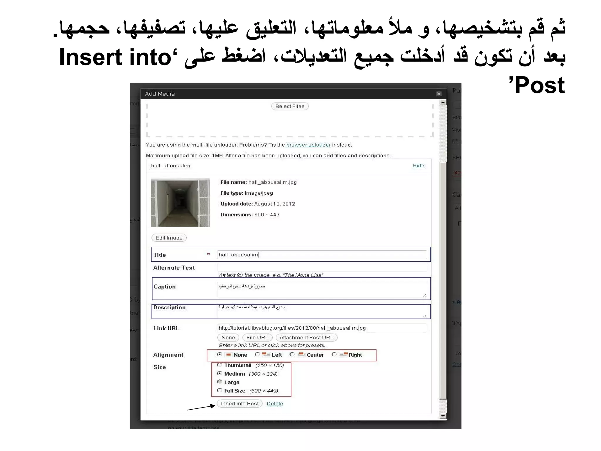 ‫ثم قم بتشخيصها، و مل معلوماتها، التعليق عليها، تصفيفها، حجمها.‬
 ‫بعد أن تكون قد أدخلت جميع التعديلت، اضغط على ‘‪Insert into‬‬
                                                      ‫‪’Post‬‬
 