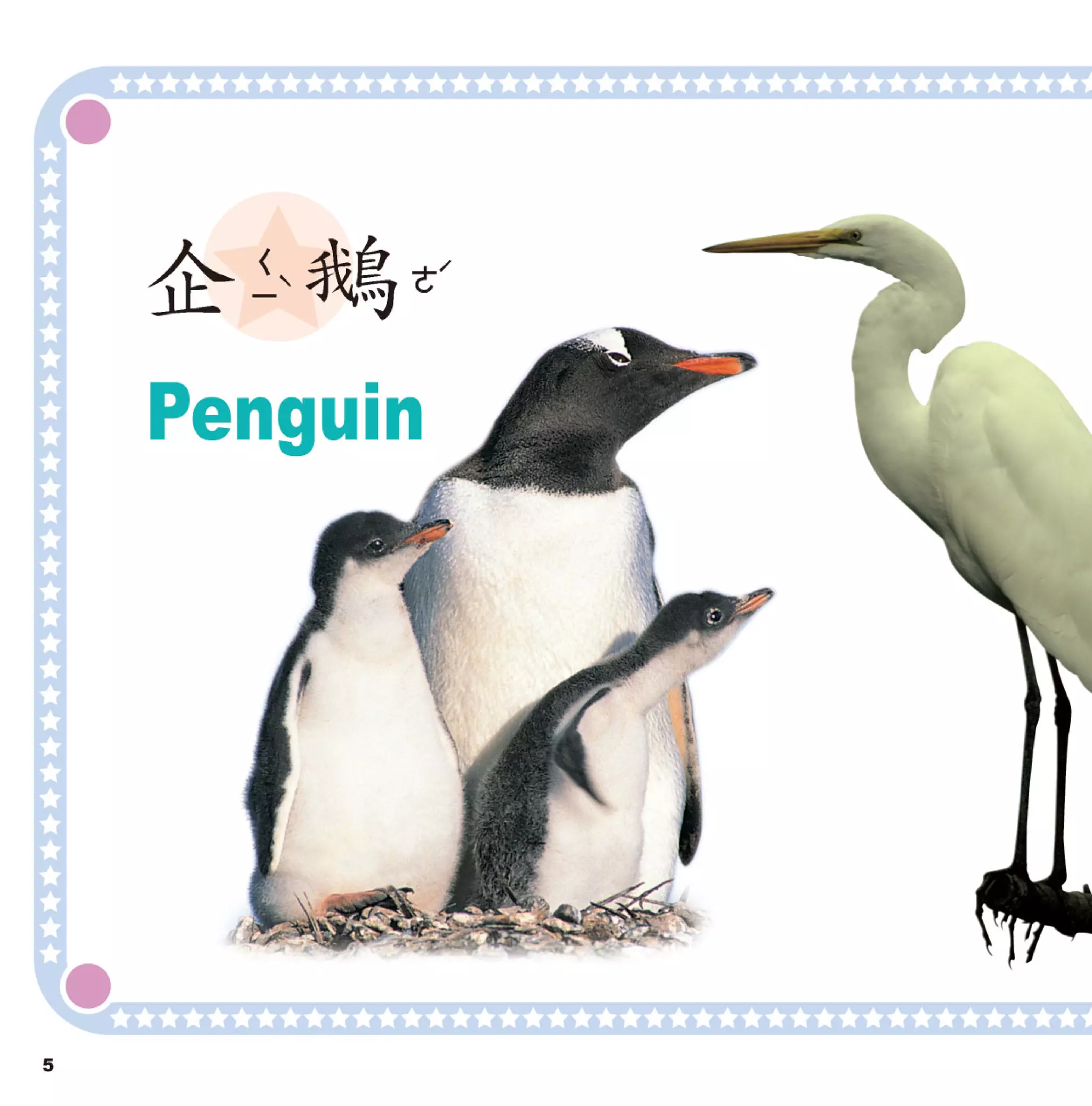 寶寶翻翻書 鳥類圖鑑【革新版】