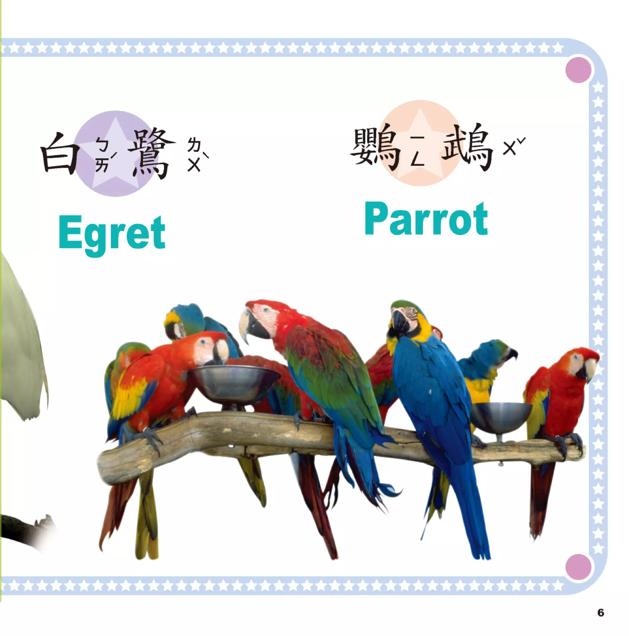 寶寶翻翻書 鳥類圖鑑【革新版】