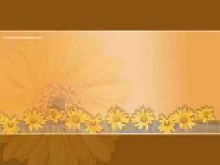 © www.tarnemagadeda.com
 