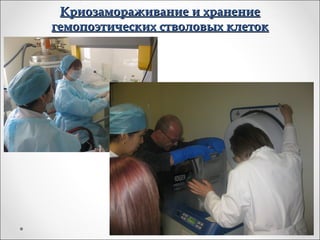 Криозамораживание и хранение
гемопоэтических стволовых клеток
 
