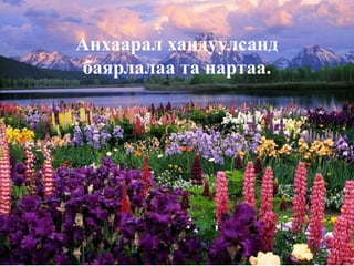 Анхаарал хандуулсанд
 баярлалаа та нартаа.
 