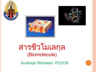 สารชีวโมเลกุล
   (Biomolecule)
KruAoijai Wichaisiri PCCCR
 