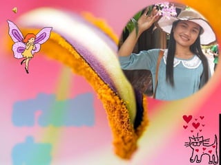 powerpoint จำนวนนับไม่เกิน 1000