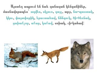 եվրասիա | PPT