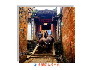 31美麗從生活中來
 