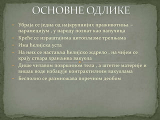•   Убраја се једна од најкрупнијих праживотиња –
    парамецијум , у народу познат као папучица
•   Креће се израштајима цитоплазме трепњама
•   Има ћелијска уста
•   На њих се наставља ћелијско ждрело , на чијем се
    крају ствара хранљива вакуола
•   Дише читавом површином тела , а штетне материје и
    вишак воде избацује контрактилним вакуолама
•   Бесполно се размножава поречном деобом
 