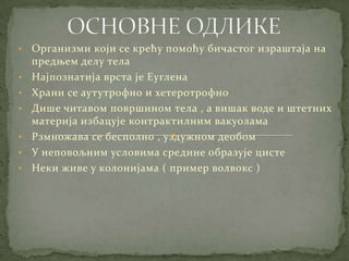 •   Организми који се крећу помоћу бичастог израштаја на
    предњем делу тела
•   Најпознатија врста је Еуглена
•   Храни се аутутрофно и хетеротрофно
•   Дише читавом површином тела , а вишак воде и штетних
    материја избацује контрактилним вакуолама
•   Рзмножава се бесполно , уздужном деобом
•   У неповољним условима средине образује цисте
•   Неки живе у колонијама ( пример волвокс )
 