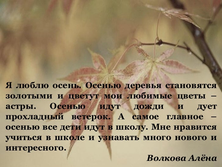 Текст Повествование Осень В Лесу