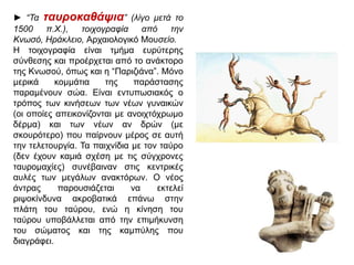 ► “Τα ηασροκαθάψια” (ιίγο κεηά ηο
1500 π.Χ.), ηοητογραθία από ηελ
Κλωζό, Ηράθιεηο, Αξραηνινγηθό Μνπζείο.
Η ηνηρνγξαθία είλαη ηκήκα επξύηεξεο
ζύλζεζεο θαη πξνέξρεηαη από ην αλάθηνξν
ηεο Κλσζνύ, όπσο θαη ε “Παξηδηάλα”. Μόλν
κεξηθά
θνκκάηηα
ηεο
παξάζηαζεο
παξακέλνπλ ζώα. Είλαη εληππσζηαθόο ν
ηξόπνο ησλ θηλήζεσλ ησλ λέσλ γπλαηθώλ
(νη νπνίεο απεηθνλίδνληαη κε αλνηρηόρξσκν
δέξκα) θαη ησλ λέσλ αλ δξώλ (κε
ζθνπξόηεξν) πνπ παίξλνπλ κέξνο ζε απηή
ηελ ηειεηνπξγία. Τα παηρλίδηα κε ηνλ ηαύξν
(δελ έρνπλ θακηά ζρέζε κε ηηο ζύγρξνλεο
ηαπξνκαρίεο) ζπλέβαηλαλ ζηηο θεληξηθέο
απιέο ησλ κεγάισλ αλαθηόξσλ. Ο λένο
άληξαο
παξνπζηάδεηαη
λα
εθηειεί
ξηςνθίλδπλα αθξνβαηηθά επάλσ ζηελ
πιάηε ηνπ ηαύξνπ, ελώ ε θίλεζε ηνπ
ηαύξνπ ππνβάιιεηαη από ηελ επηκήθπλζε
ηνπ ζώκαηνο θαη ηεο θακπύιεο πνπ
δηαγξάθεη.

 