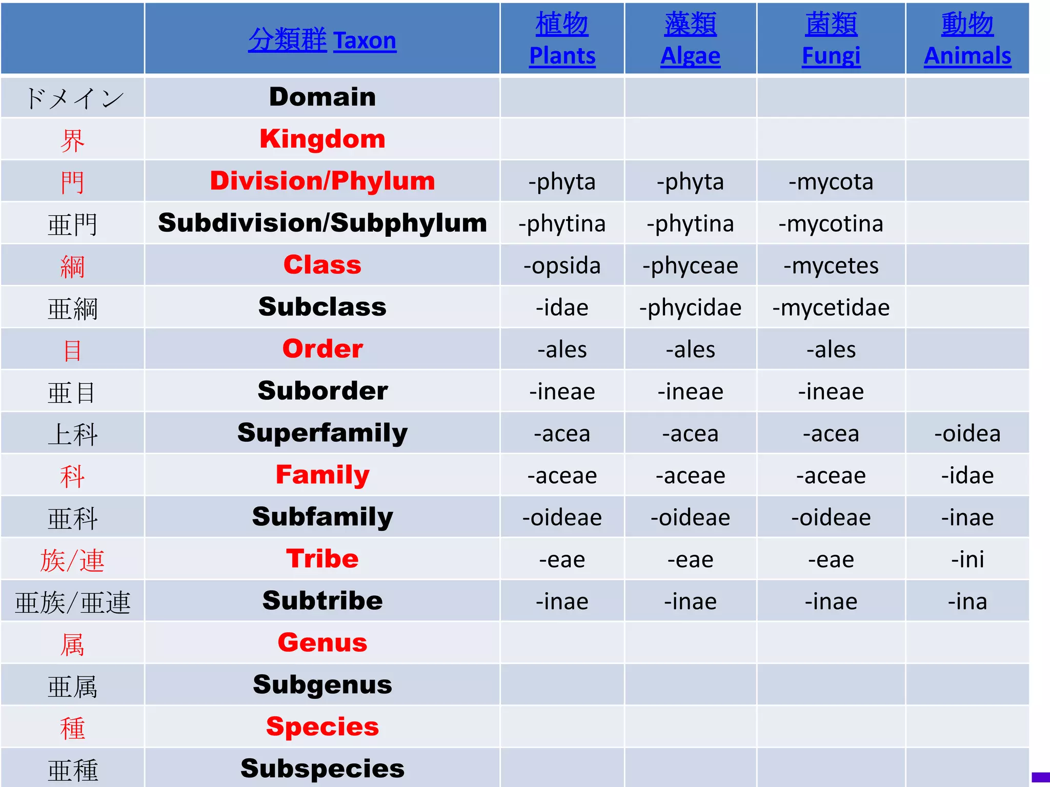 植物            藻類              菌類             動物
             分類群 Taxon
                                Plants         Algae           Fungi         Animals
ドメイン           Domain
 界            Kingdom
 門         Division/Phylum      -phyta        -phyta          -mycota
 亜門     Subdivision/Subphylum   -phytina     -phytina       -mycotina
 綱             Class            -opsida      -phyceae        -mycetes
 亜綱           Subclass           -idae      -phycidae       -mycetidae
 目             Order             -ales         -ales            -ales
 亜目           Suborder          -ineae        -ineae           -ineae
 上科          Superfamily         -acea         -acea           -acea          -oidea
 科             Family           -aceae        -aceae          -aceae           -idae
 亜科          Subfamily          -oideae       -oideae         -oideae          -inae
 族/連            Tribe            -eae           -eae            -eae            -ini
亜族/亜連         Subtribe           -inae         -inae           -inae            -ina
 属             Genus
 亜属           Subgenus
 種            Species
 亜種          Subspecies          Hideaki Takeda / National Institute of Informatics
 