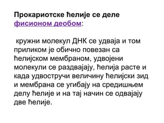 Прокариотске ћелије се деле
фисионом деобом:

 кружни молекул ДНК се удваја и том
приликом је обично повезан са
ћелијском мембраном, удвојени
молекули се раздвајају, ћелија расте и
када удвостручи величину ћелијски зид
и мембрана се угибају на средишњем
делу ћелије и на тај начин се одвајају
две ћелије.
 