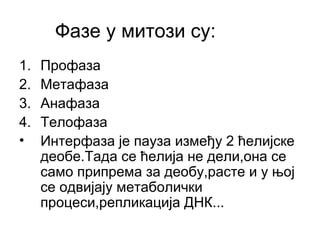 Фазе у митози су:
1.   Профаза
2.   Метафаза
3.   Анафаза
4.   Телофаза
•    Интерфаза је пауза између 2 ћелијске
     деобе.Тада се ћелија не дели,она се
     само припрема за деобу,расте и у њој
     се одвијају метаболички
     процеси,репликација ДНК...
 