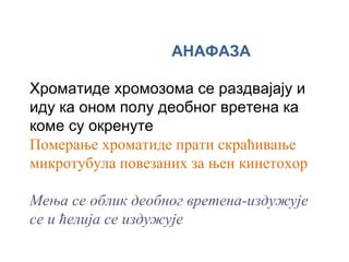 АНАФАЗА

Хроматиде хромозома се раздвајају и
иду ка оном полу деобног вретена ка
коме су окренуте
Померање хроматиде прати скраћивање
микротубула повезаних за њен кинетохор

Мења се облик деобног вретена-издужује
се и ћелија се издужује
 