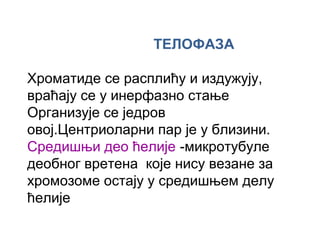 ТЕЛОФАЗА

Хроматиде се расплићу и издужују,
враћају се у инерфазно стање
Организује се једров
овој.Центриоларни пар је у близини.
Средишњи део ћелије -микротубуле
деобног вретена које нису везане за
хромозоме остају у средишњем делу
ћелије
 