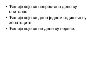 • Ћелије које се непрестано деле су
  епителне.
• Ћелије које се деле једном годишње су
  хепатоците.
• Ћелије које се не деле су нервне.
 