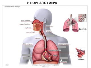 Η ΠΟΡΕΙΑ ΤΟΥ ΑΕΡΑ




                                                  βρόγχοι




                                                 κυψελίδες


2012     Δημήτρης Καρατζάς, Βιολόγος-Υποψήφιος
                      Διδάκτορας
 