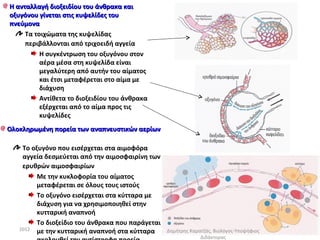 H ανταλλαγή διοξειδίου του άνθρακα και
οξυγόνου γίνεται στις κυψελίδες του
πνεύμονα
     Τα τοιχώματα της κυψελίδας
     περιβάλλονται από τριχοειδή αγγεία
          Η συγκέντρωση του οξυγόνου στον
          αέρα μέσα στη κυψελίδα είναι
          μεγαλύτερη από αυτήν του αίματος
          και έτσι μεταφέρεται στο αίμα με
          διάχυση
          Αντίθετα το διοξειδίου του άνθρακα
          εξέρχεται από το αίμα προς τις
          κυψελίδες
Ολοκληρωμένη πορεία των αναπνευστικών αερίων

    Το οξυγόνο που εισέρχεται στα αιμοφόρα
    αγγεία δεσμεύεται από την αιμοσφαιρίνη των
    ερυθρών αιμοσφαιρίων
         Με την κυκλοφορία του αίματος
         μεταφέρεται σε όλους τους ιστούς
         Το οξυγόνο εισέρχεται στα κύτταρα με
         διάχυση για να χρησιμοποιηθεί στην
         κυτταρική αναπνοή
         Το διοξείδιο του άνθρακα που παράγεται
   2012 με την κυτταρική αναπνοή στα κύτταρα      Δημήτρης Καρατζάς, Βιολόγος-Υποψήφιος
                                                               Διδάκτορας
 