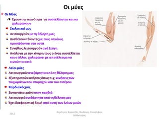 Οι μύες




       Δημήτρης Καρατζάς, Βιολόγος-Υποψήφιος
2012
                    Διδάκτορας
 