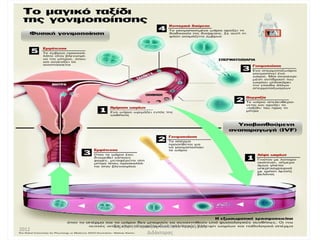 Δημήτρης Καρατζάς, Βιολόγος-Υποψήφιος
2012
                    Διδάκτορας
 